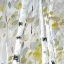 Picture of PATTERNS I