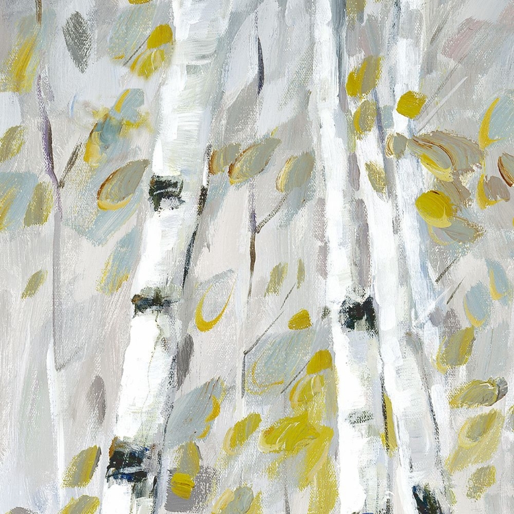 Picture of PATTERNS I