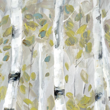 Picture of PATTERNS II