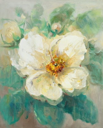 Picture of MAGNOLIA