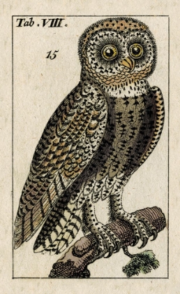 Picture of ANTIQUE OWL I