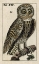 Picture of ANTIQUE OWL I