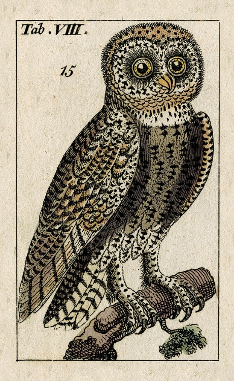 Picture of ANTIQUE OWL I
