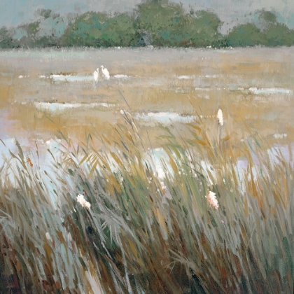 Picture of SILVERY REEDS