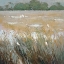 Picture of SILVERY REEDS