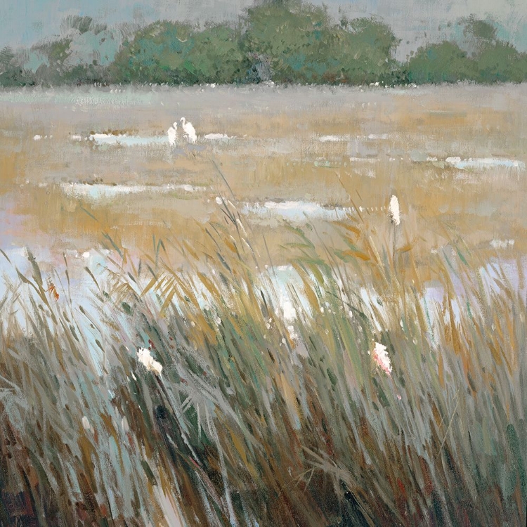 Picture of SILVERY REEDS