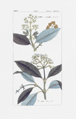 Picture of LEAVES IN BLUE I