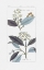 Picture of LEAVES IN BLUE I