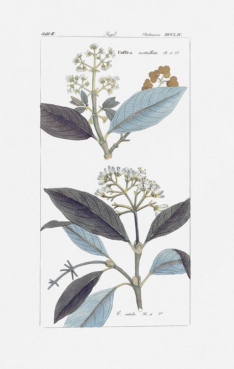 Picture of LEAVES IN BLUE I