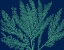 Picture of SEA GARDEN III