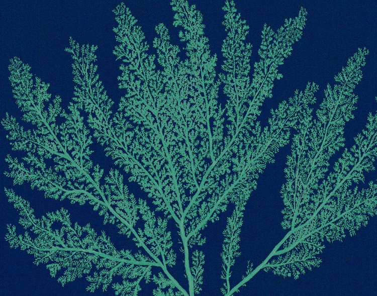 Picture of SEA GARDEN III