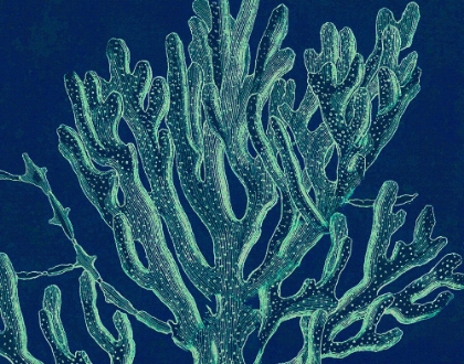 Picture of SEA GARDEN IV
