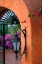 Picture of COLORFUL PATIO