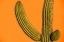 Picture of COLORFUL CACTUS