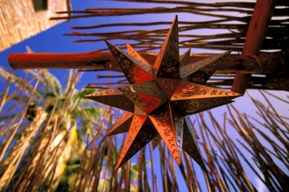 Picture of MEXICAN STARS