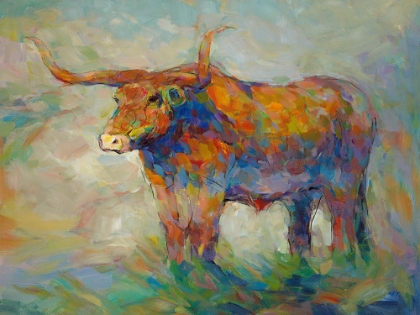 Picture of COLORFUL LONGHORN