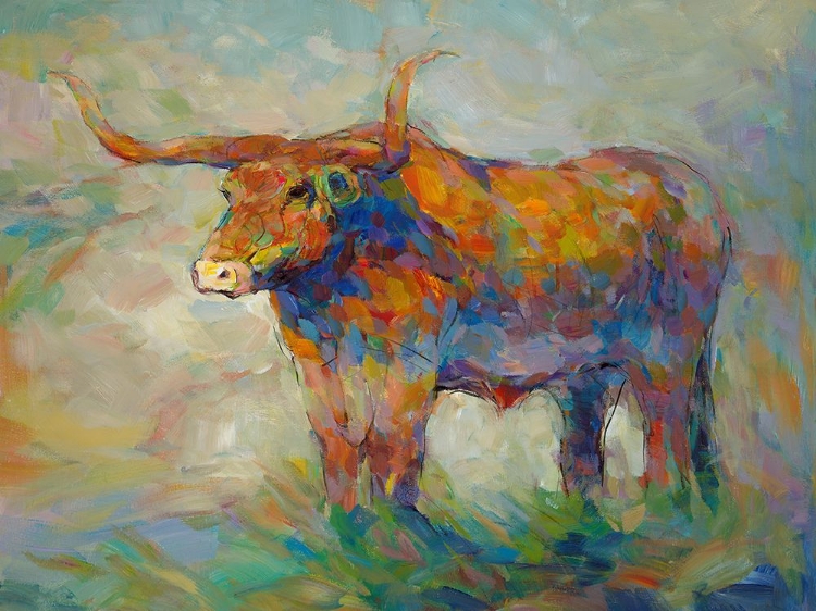 Picture of COLORFUL LONGHORN