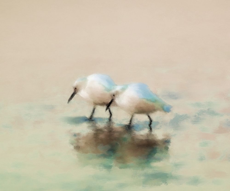 Picture of SANDPIPER RUN
