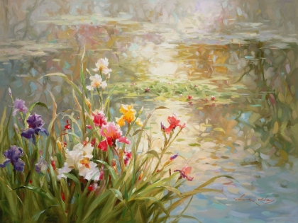 Picture of AFTERNOON REFLECTION