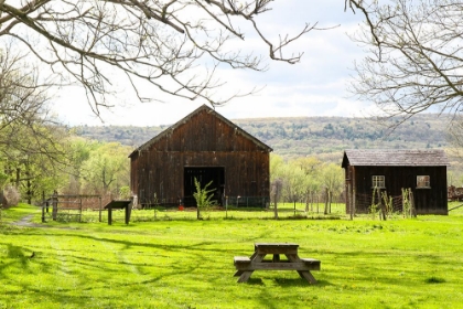 Picture of OLD DEERFIELD BARN