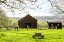 Picture of OLD DEERFIELD BARN
