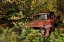 Picture of RUSTED PICKUP TRUCK
