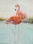 Picture of WADING FLAMINGO I