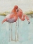 Picture of WADING FLAMINGO II