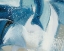 Picture of OCEAN COLORS II