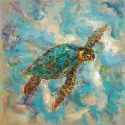Picture of SEA TURTLE FROLIC II