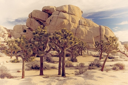Picture of LOST HORSE VALLEY