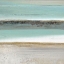 Picture of DAILY SURF II