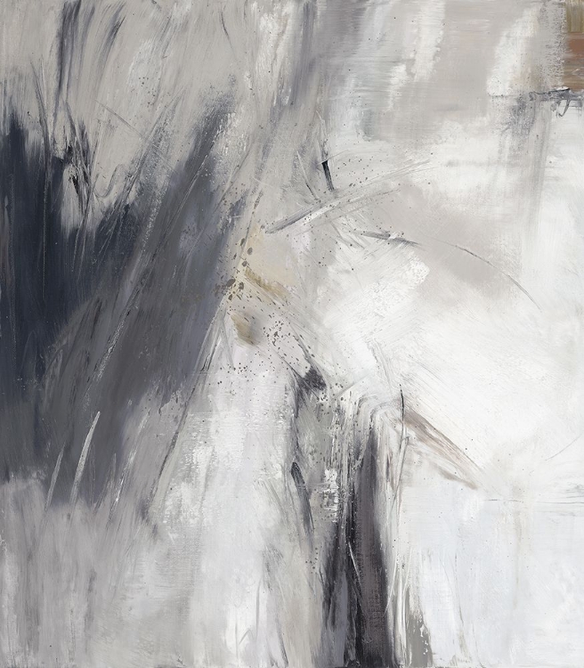 Picture of GRAY VISION