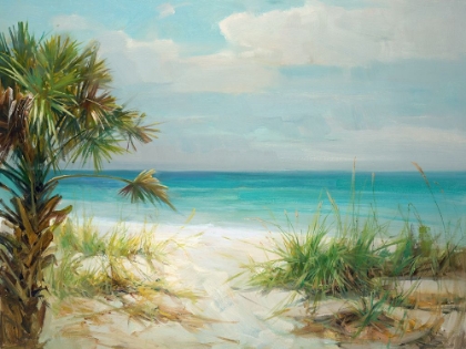 Picture of COASTAL VISTA