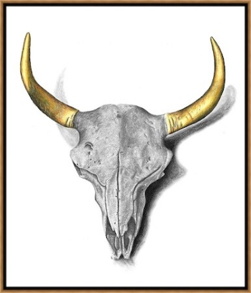 Picture of SKULL 