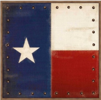 Picture of VINTAGE TEXAS FLAG 