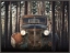 Picture of RUSTED CHEVROLET 