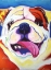 Picture of BULLY GRIN 