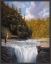 Picture of FISHING 