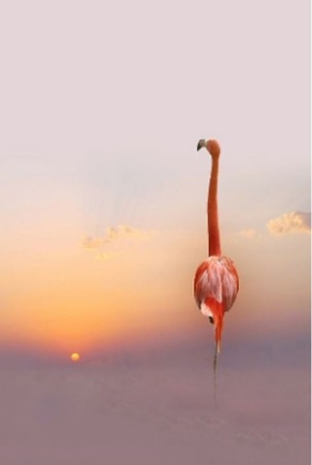 Picture of SUNSET FLAMINGO