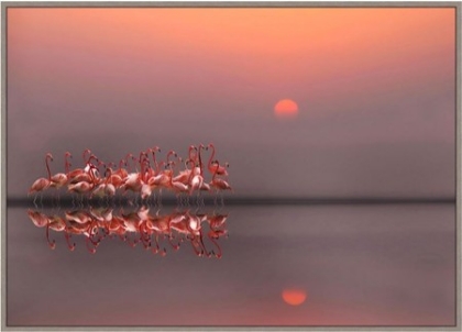 Picture of PURPLE SUNSET 