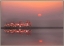 Picture of PURPLE SUNSET 