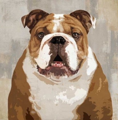 Picture of BULLDOG 