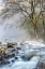 Picture of CRISP MIST 