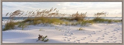 Picture of PLAGE II