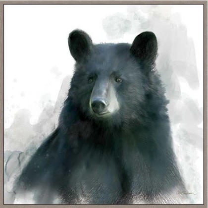 Picture of RAINSOFT BEAR 
