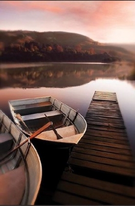 Picture of ROWBOATS AT LEE