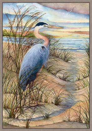 Picture of KING OF THE BAY HILL 