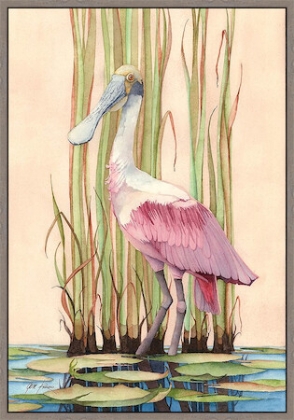 Picture of ROSEATE SPOONBILL 