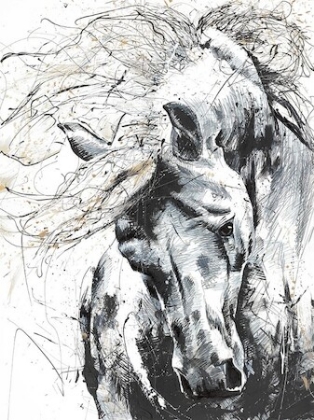 Picture of HORSE WITH NO NAME 